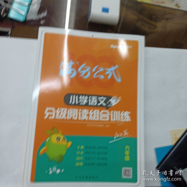 2023新版 小学语文分级阅读组合训练六年级 阶梯阅读天天练专项训练视频微课