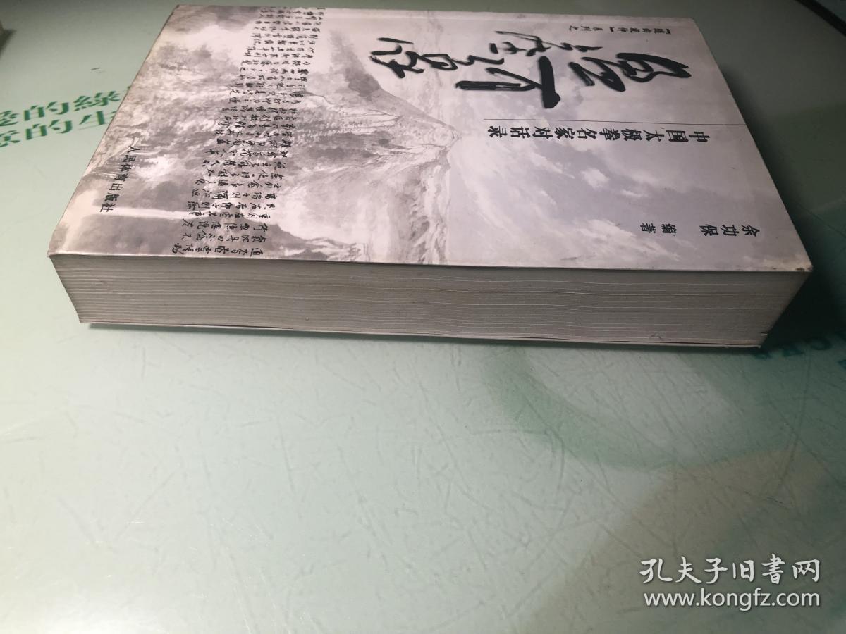 盈虚有象：中国太极拳名家对话录