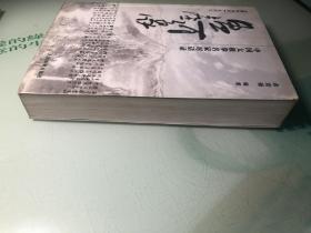 盈虚有象:中国太极拳名家对话录