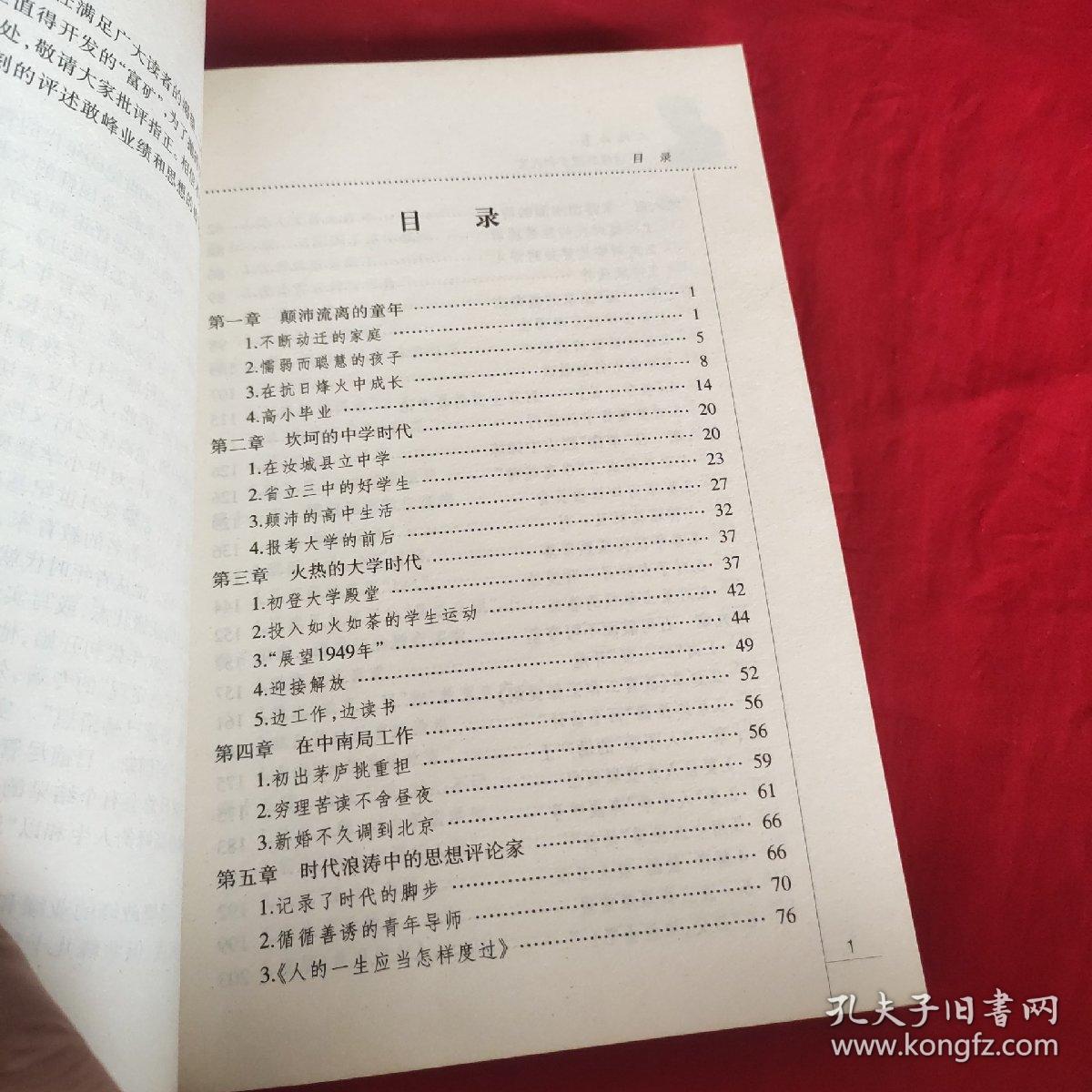 人比山高:敢峰的理念和人生