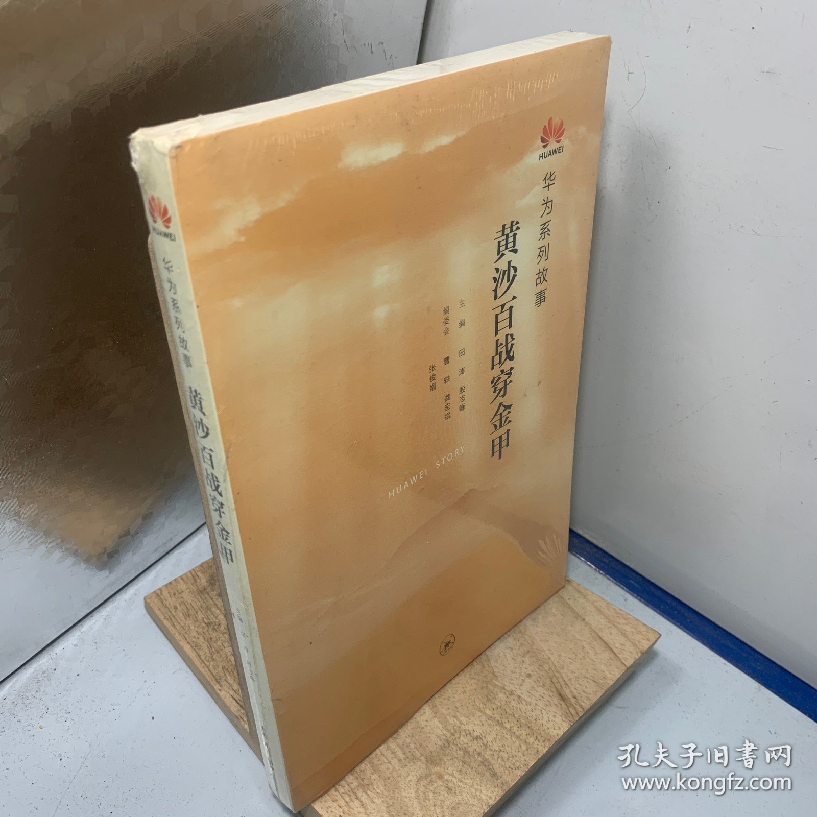 黄沙百战穿金甲