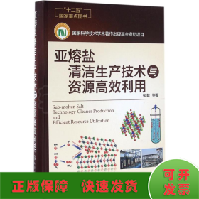 亚熔盐清洁生产技术与资源高效利用