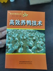 高效养鸭技术