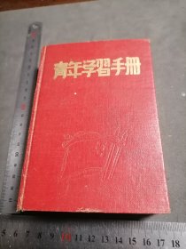 1952年 精装 青年学习手册 日记本笔记本 插图大概10页左右 写了大概三分之一日记