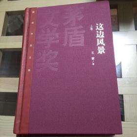 这边风景（茅盾文学获奖作品全集37）  王蒙   人民文学出版社  2022年一版二印  精装版  茅盾文学奖获奖作品