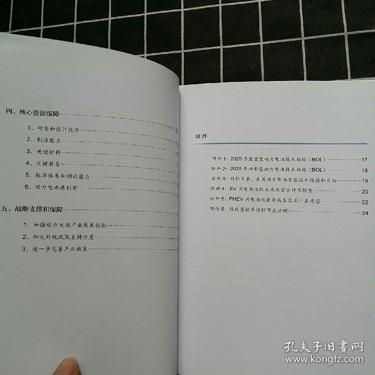 中国汽车百人会课题报告：中国汽车动力电池发展路线图