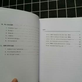 中国汽车百人会课题报告：中国汽车动力电池发展路线图