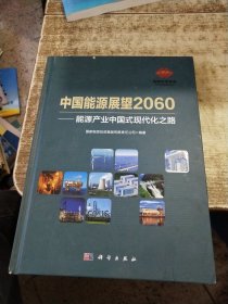 中国能源展望2060 ——能源产业中国式现代化之路 磨角