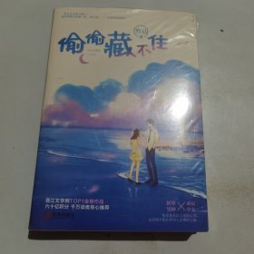 偷偷藏不住（全二册）竹已晋江金榜作品段嘉许VS桑稚