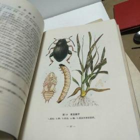 宁夏农业昆虫图志 （修订版）+（第二集）二册合售