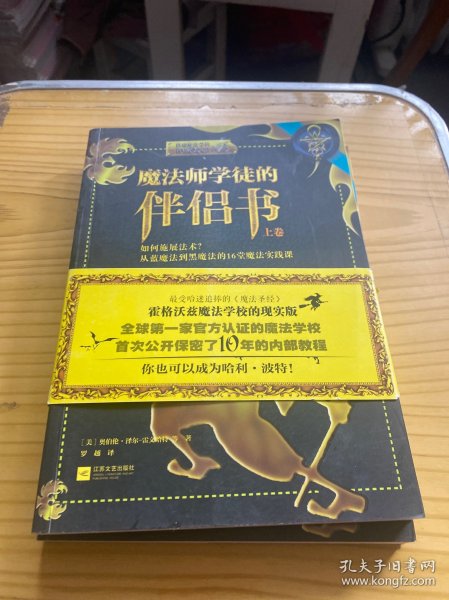 魔法师学徒的伴侣书：如何施展法术？从蓝魔法到黑魔法的16堂魔法实践课