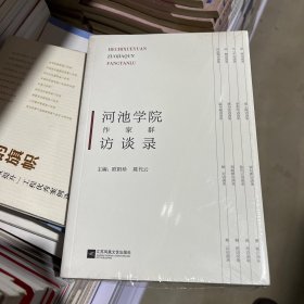 河池学院作家群访谈录