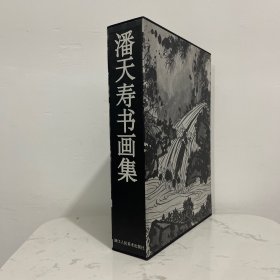 潘天寿书画集（上下）