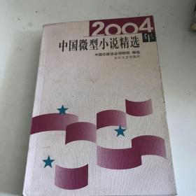 2004年中国微型小说精选