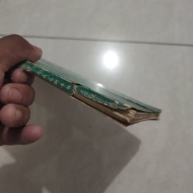 张立辰画集