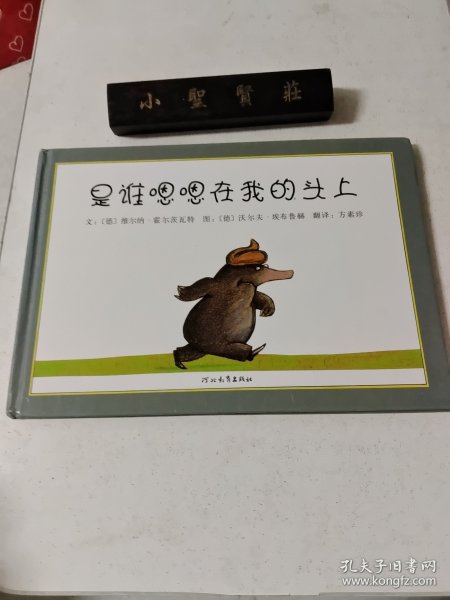 是谁嗯嗯在我的头上