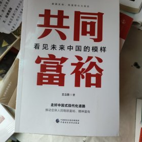 共同富裕：看见未来中国的模样