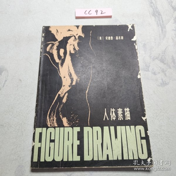 人体素描