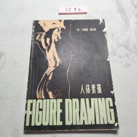 人体素描