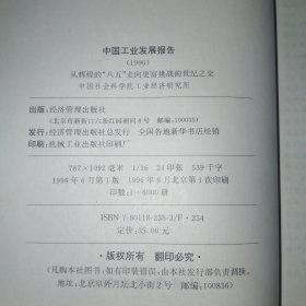 中国工业发展报告:从辉煌的“八五”走向更富挑战的世纪之交.1996