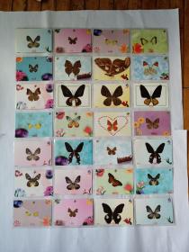 蝴蝶珍品标本28张合售