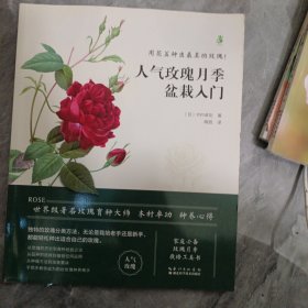 人气玫瑰月季盆栽入门