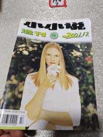 小小说选刊2001年17