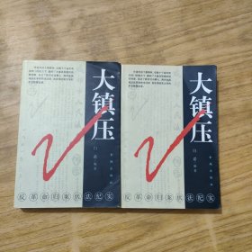 大镇压:反革命归案伏法纪实 上下