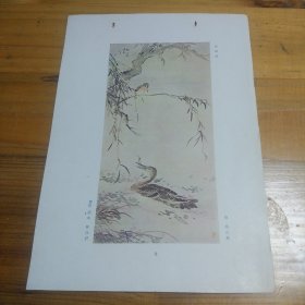 小画片（画画爱号者叁考资料），，，，，，