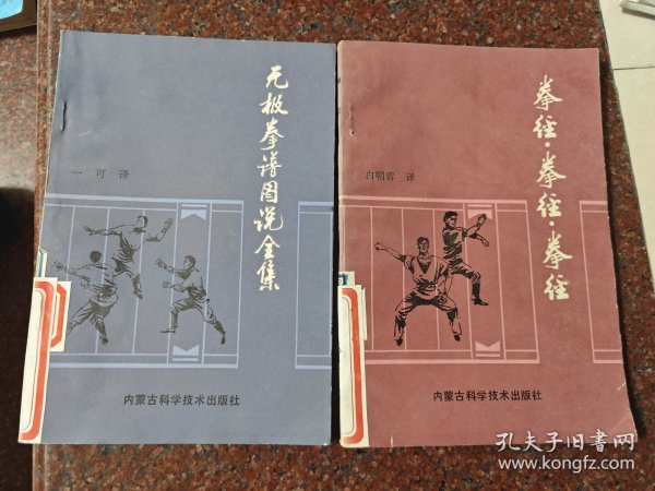 拳经+无极拳谱图说全集 共2本，一可，内蒙古科学技术出版社，88年，106页,85品2