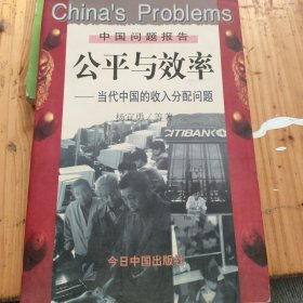 公平与效率-当代中国的收入分配问题