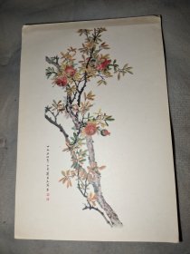 1956年美术画片：石榴（刘子久，天津美术出版社）