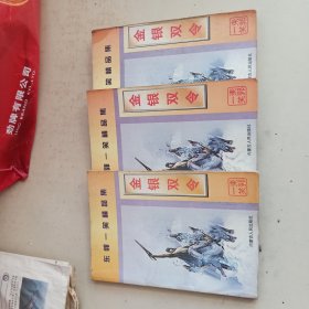 武侠小说 金银双令 上中下