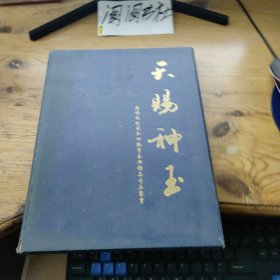 天賜神玉 唐傅林收藏和田觀賞玉典精品奇石鑒賞：天賜神玉（布面精裝）