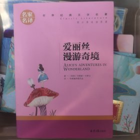 爱丽丝漫游奇境 中小学生课外阅读书籍世界经典文学名著青少年儿童文学读物故事书名家名译原汁原味读原著