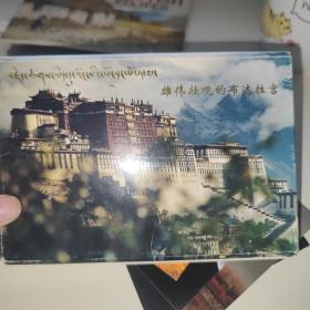 雄伟壮观的布达拉宫（6张明信片）