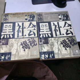 中外黑社会揭秘（上中）