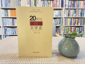 20世纪美国文学史