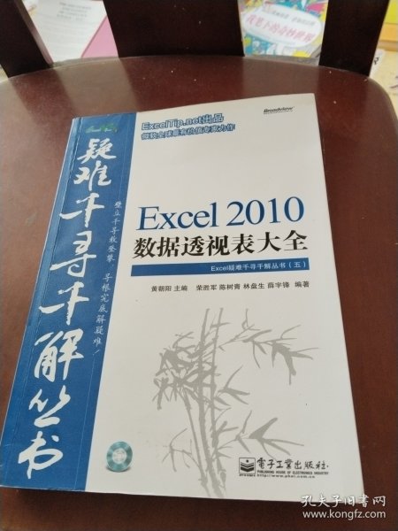 Excel 2010数据透视表大全