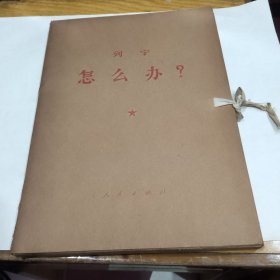 怎么办（大字本，全册）