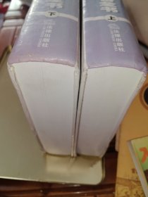 新形势下检察官工作必备全书. 下卷