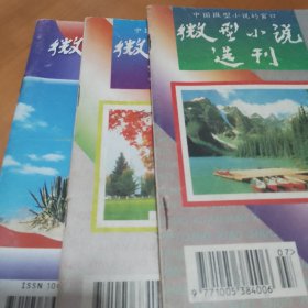 微型小说选刊