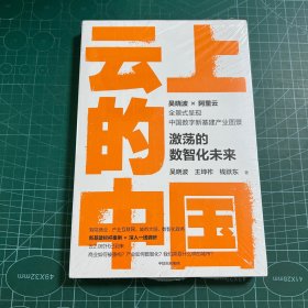 云上的中国：激荡的数智化未来［未拆封］