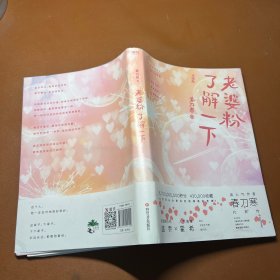 老婆粉了解一下3.大结局