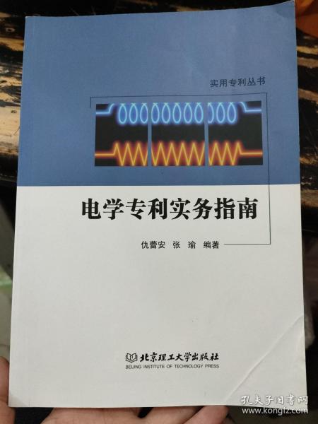 实用专利丛书：电学专利实务指南