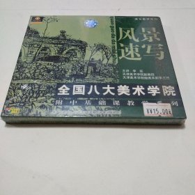 未开封风景速写 《全国八大美术学院》 附中基础课教学系列 <盒装VCD>