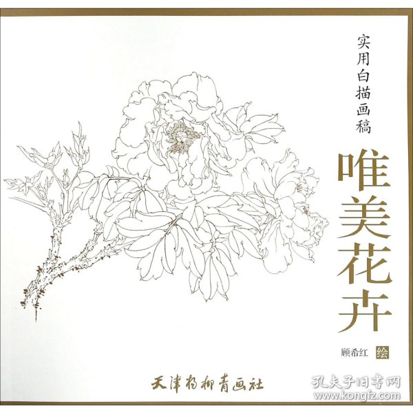 唯美花卉/实用白描画稿