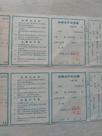 60年代，江北县，社员证2张。7-9（生日票据，，证书类票据）。