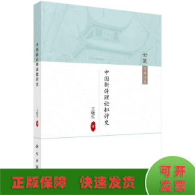 中國新詩理論批評(píng)史
