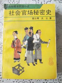 《社会官场秘密史》